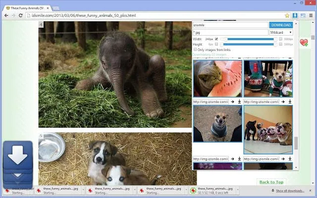 Image Downloader