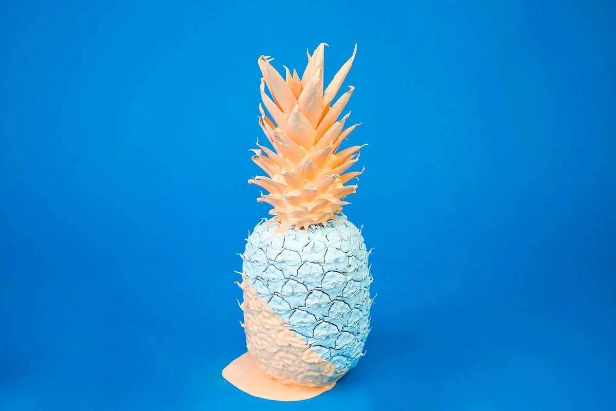 Painted Pineapple